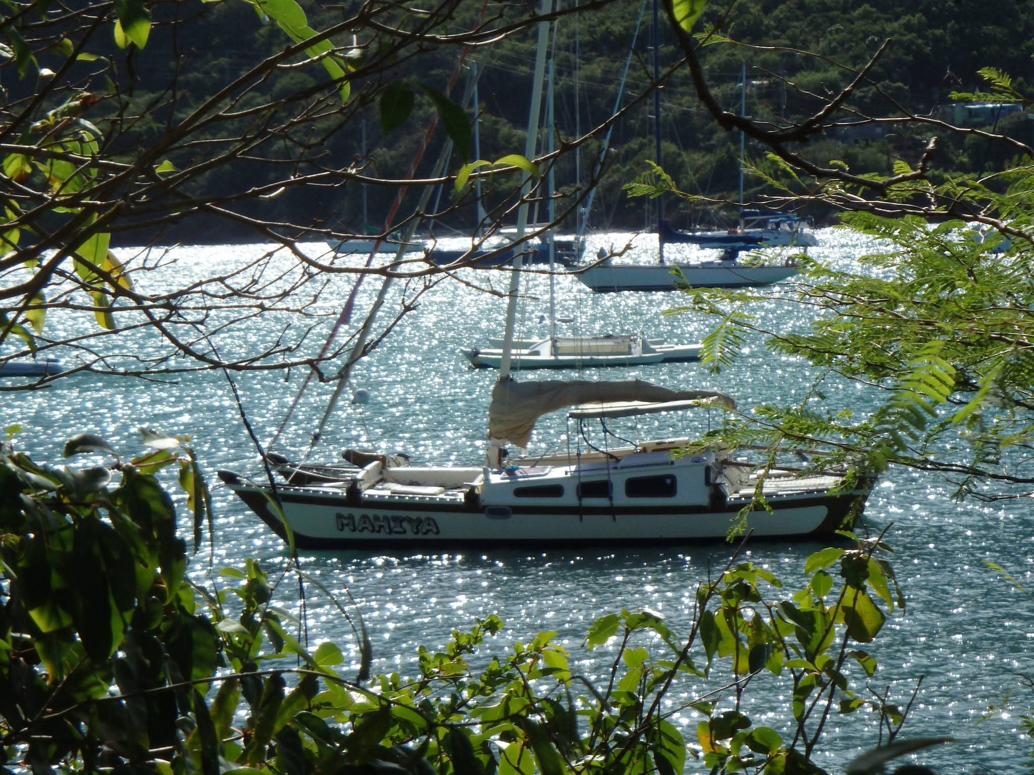 The Mahiya catamaran moored in a sparkling harbor framed by tropical tree branches, other sailboats behind