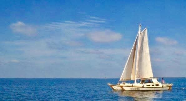 Mahiya catamaran under full sail on calm blue open water, painterly golden light